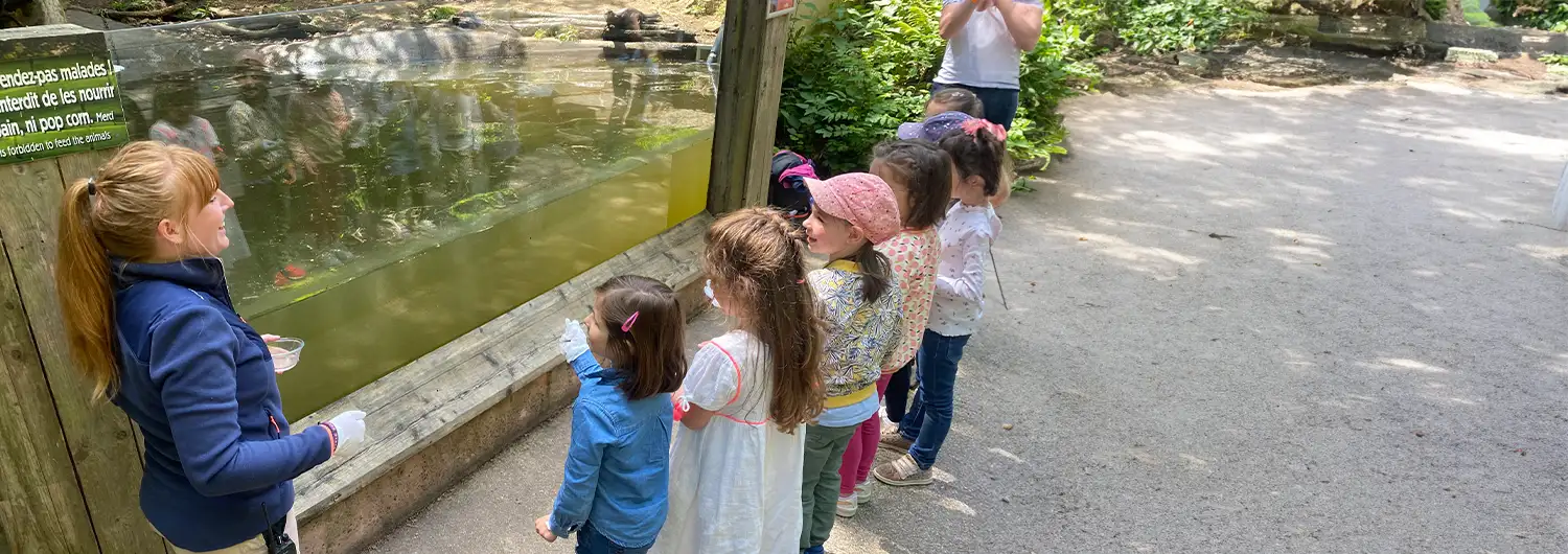 Anniversaire au zooparc tregomeur