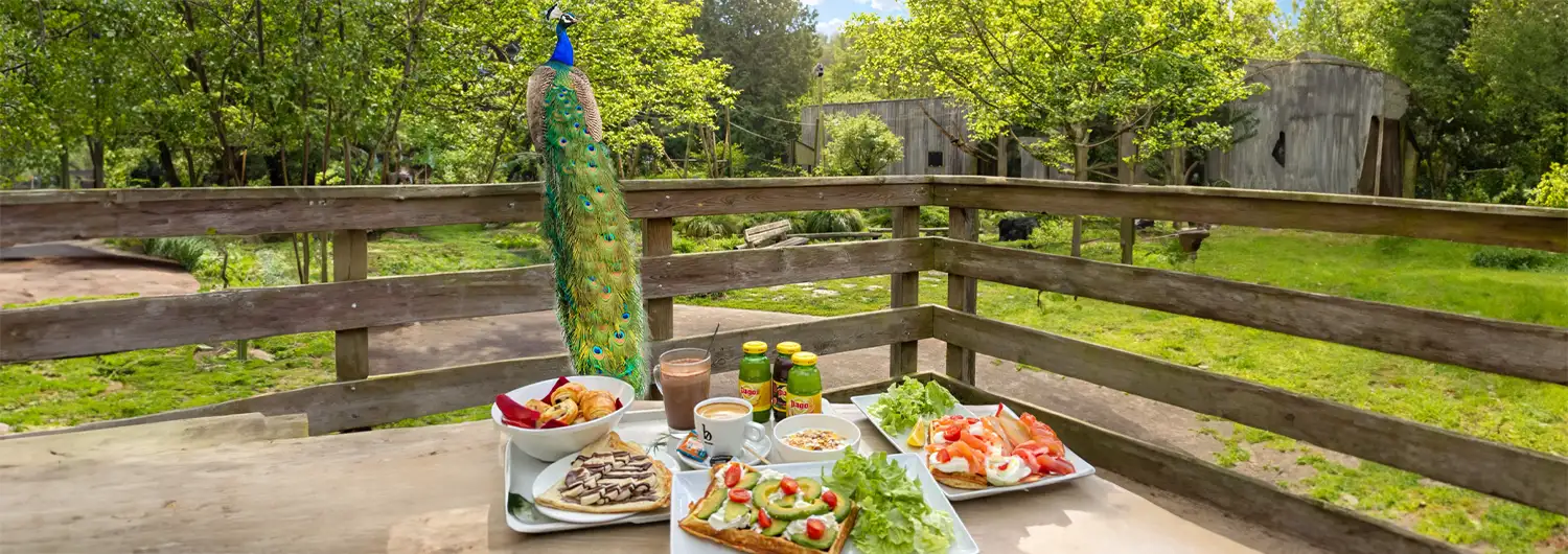 Brunch en Terre d&rsquo;Asie